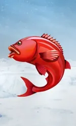 Ice Fishing