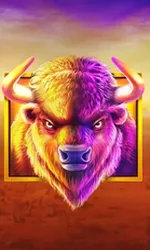 Buffalo King